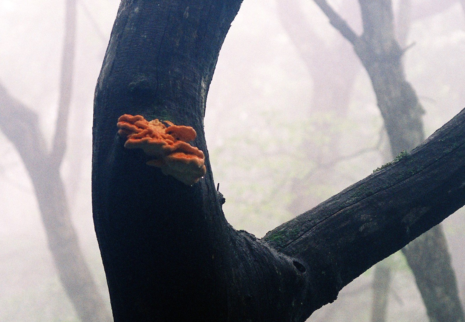f0220698_22322663.jpg