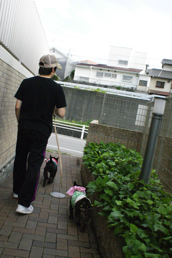 d0164100_11512991.jpg