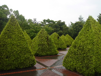 c0047602_15503199.jpg