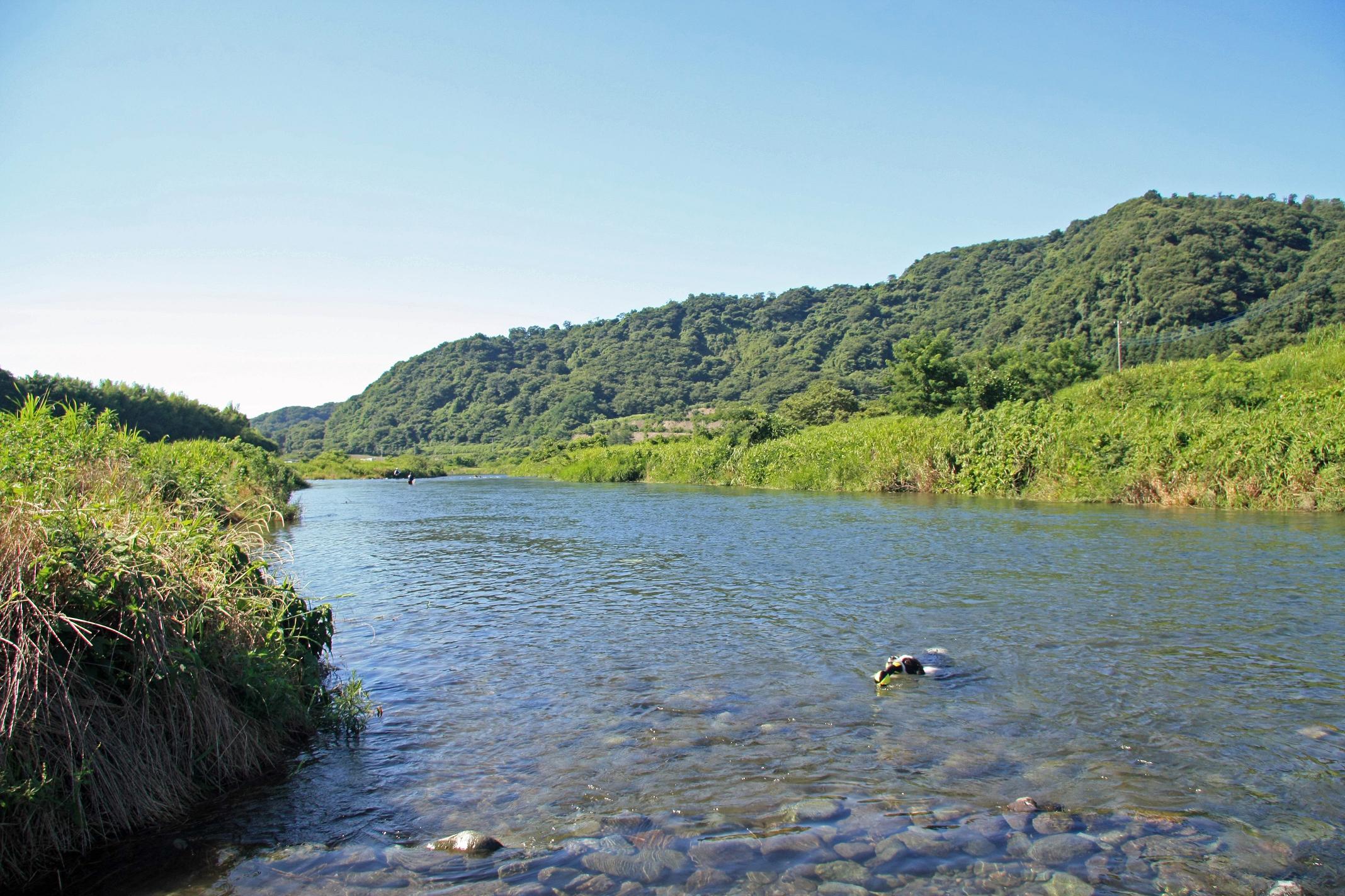 f0034602_19593830.jpg