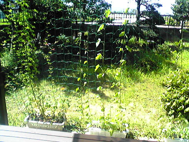 f0079202_9511213.jpg
