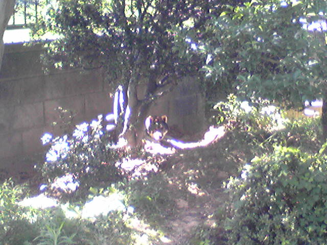 f0079202_9511275.jpg