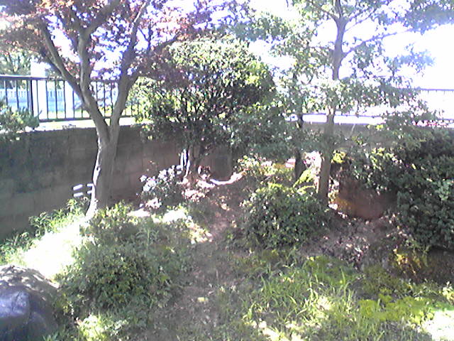 f0079202_9511298.jpg