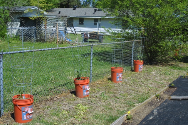 c0062603_11453490.jpg