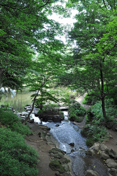 f0080105_2123246.jpg