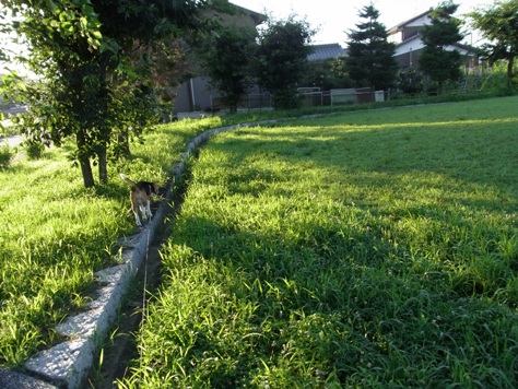c0205806_1664377.jpg