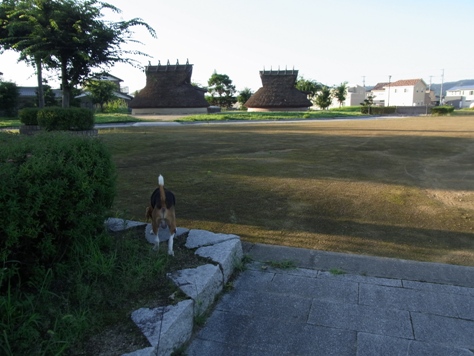 c0205806_166754.jpg