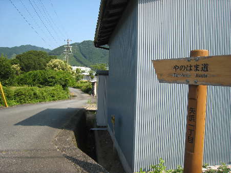 d0154609_10461515.jpg
