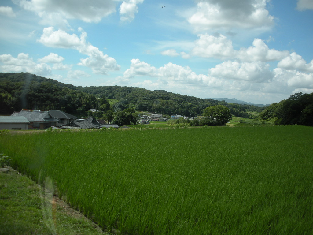a0144811_20124374.jpg