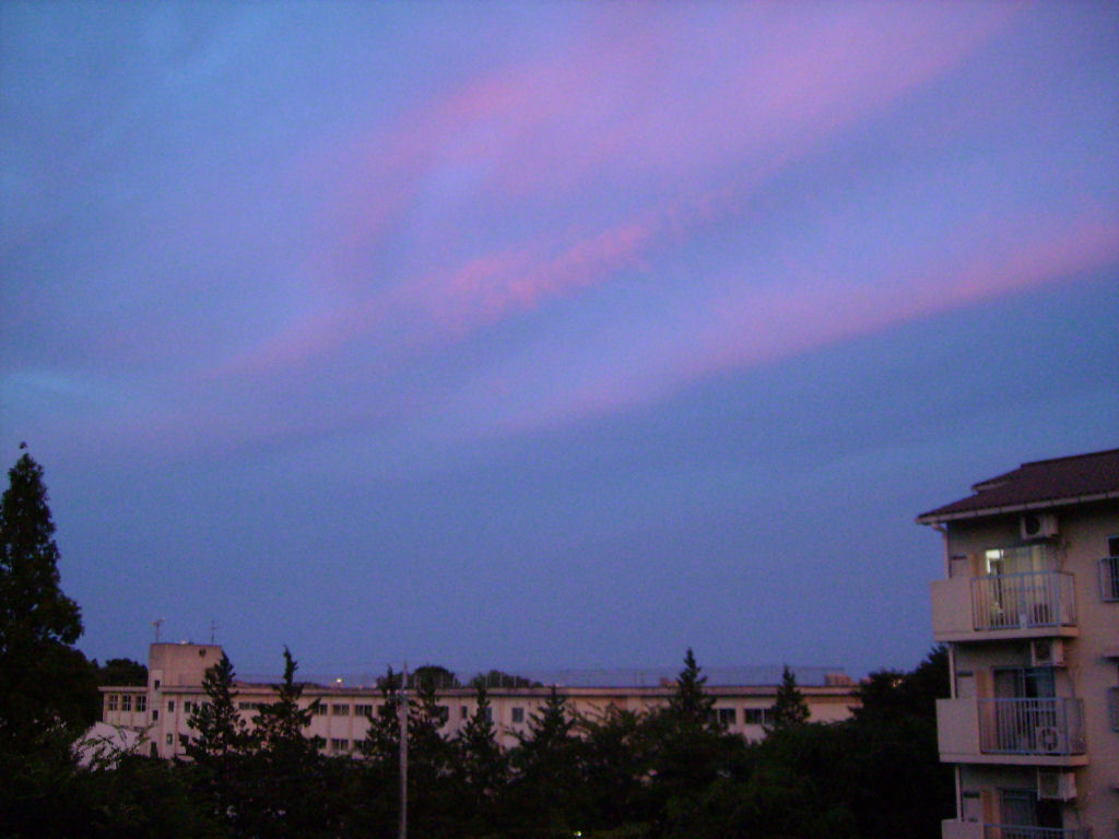 f0208812_2158117.jpg