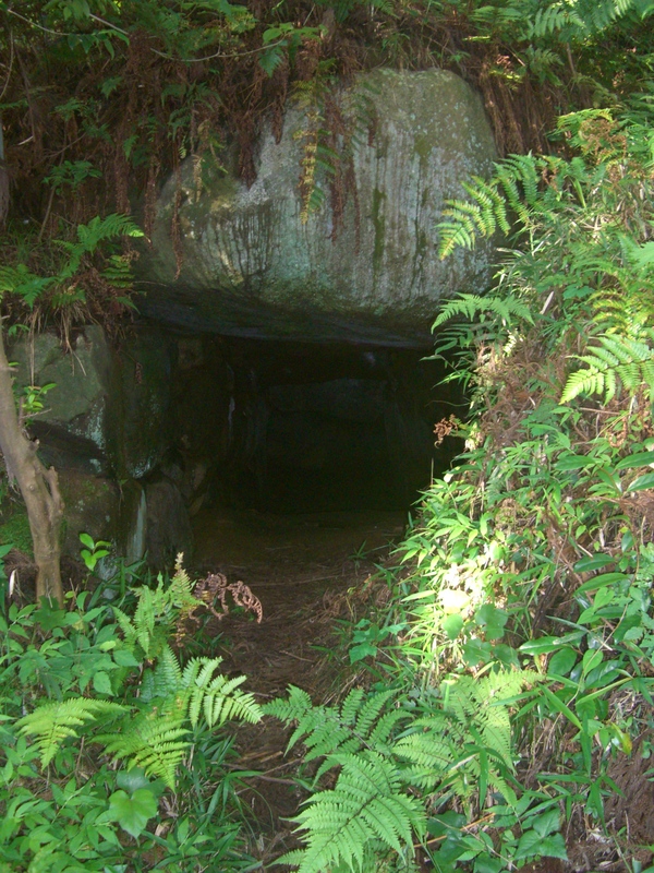 d0007913_11225419.jpg