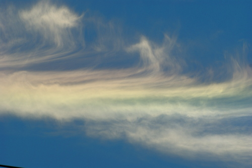 b0053414_9342789.jpg