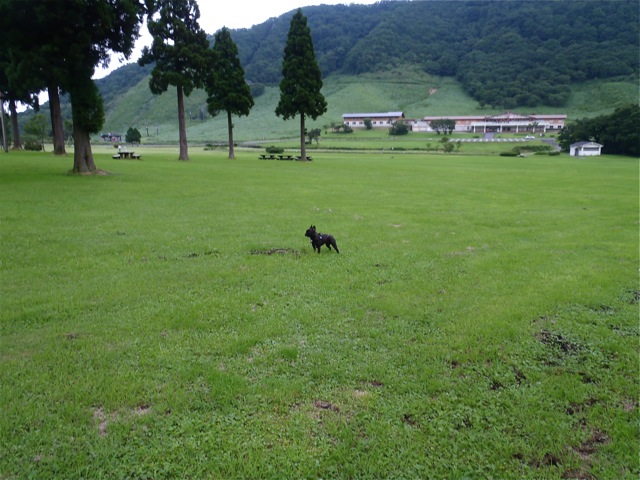 b0143214_0274482.jpg