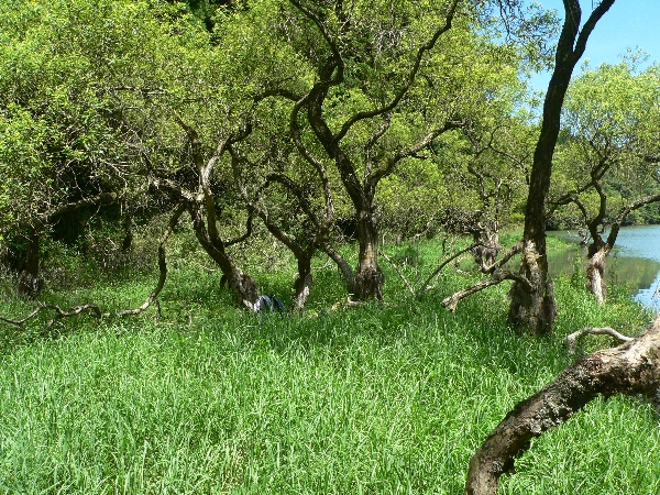e0002314_20225970.jpg