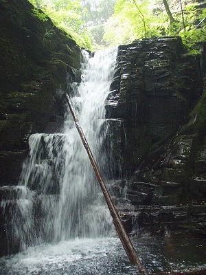 b0141916_10104786.jpg