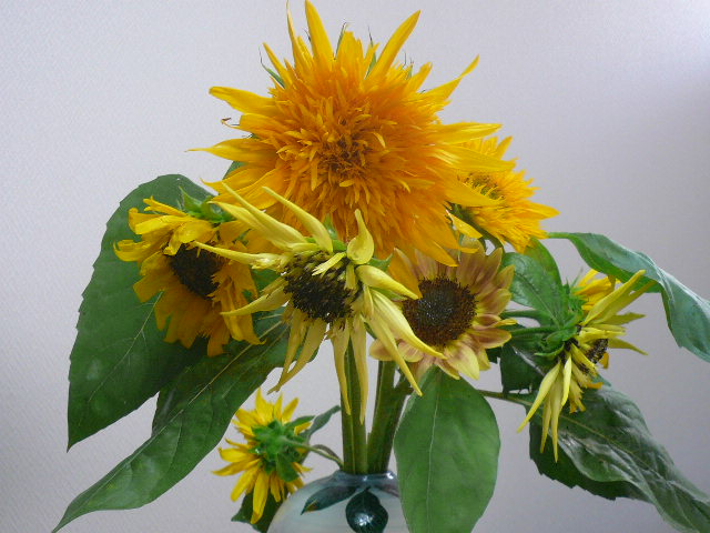 e0026017_9553559.jpg