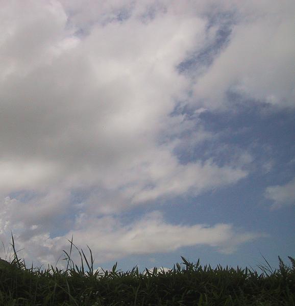 c0097620_23195441.jpg