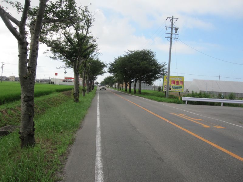 c0225420_22314188.jpg