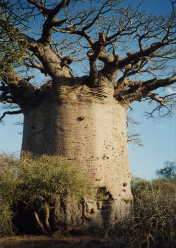 e0123920_23402425.jpg