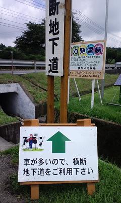 b0102023_22325558.jpg