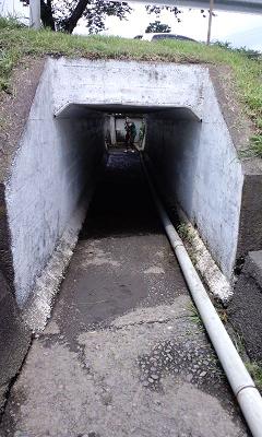 b0102023_2235888.jpg