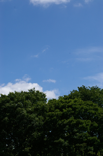 a0169924_18251665.jpg