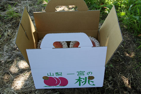 f0137324_10405350.jpg