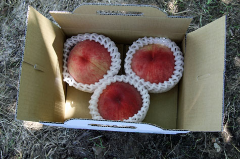 f0137324_10411581.jpg