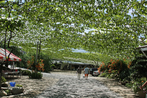 f0137324_11111156.jpg