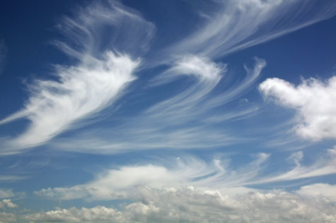f0137324_11124248.jpg