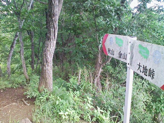 b0184725_2021595.jpg