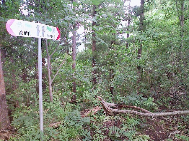 b0184725_20353591.jpg