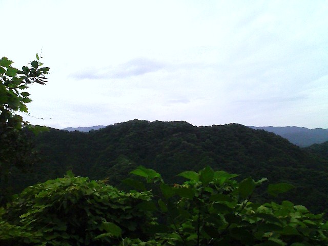 b0184725_20494246.jpg