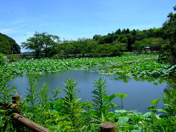 f0147025_20214765.jpg
