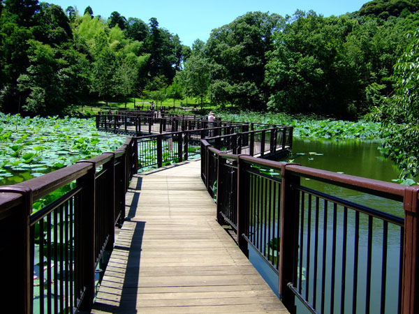 f0147025_2022377.jpg