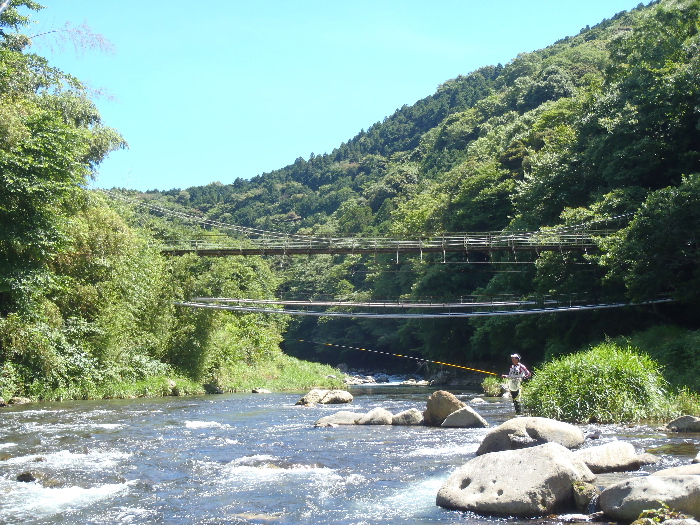 f0103126_2038649.jpg