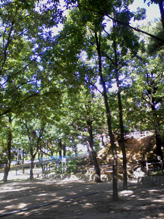 d0040729_1341169.jpg