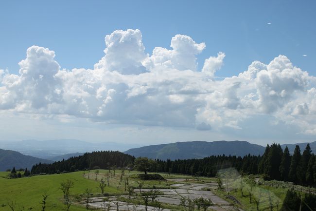 d0148729_21415783.jpg