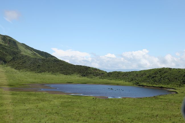 d0148729_21483315.jpg