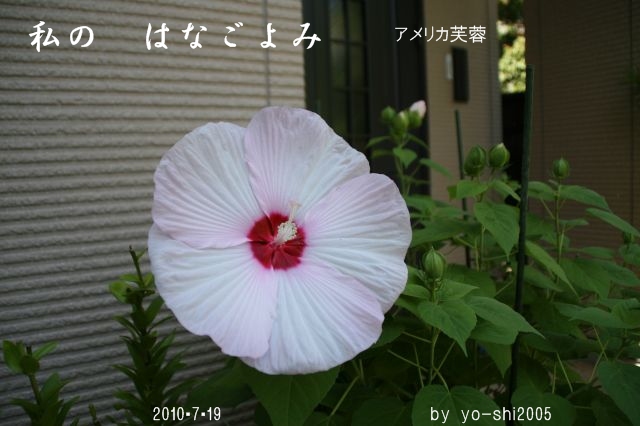 e0033229_2120626.jpg
