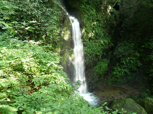 e0033229_21244756.jpg