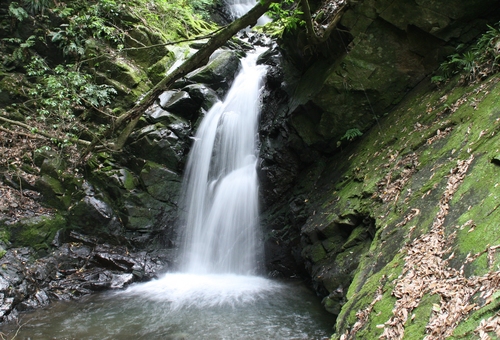 e0033229_2129474.jpg