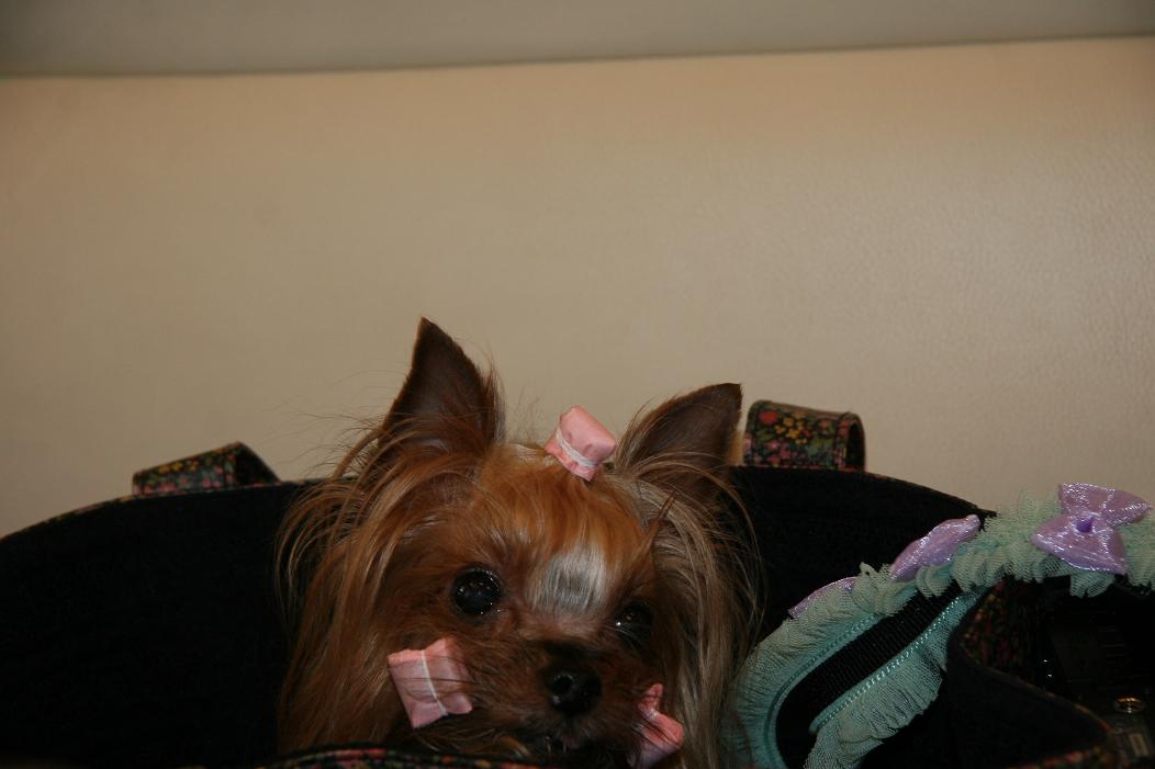 f0124830_1372172.jpg