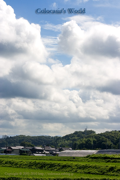 e0089532_7175991.jpg