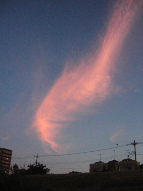 d0013834_11432579.jpg