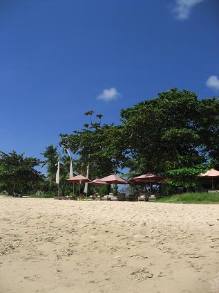 c0148238_2515488.jpg