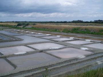 b0032039_4491630.jpg