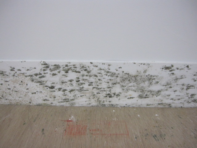 a0142843_7191492.jpg