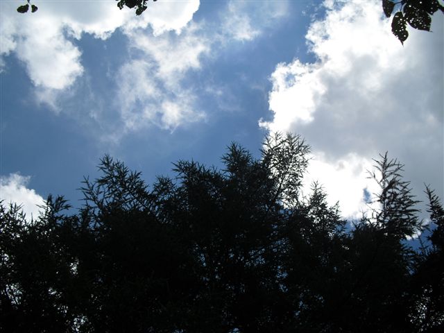 d0132743_0541673.jpg