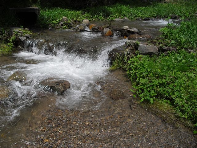 d0132743_0563392.jpg